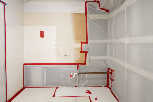 Best Mold Remediation for Healthcare Facilities  in West Siloam Springs, OK