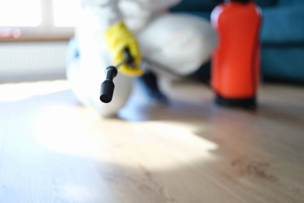 Best Biohazard Mold Removal  in West Siloam Springs, OK