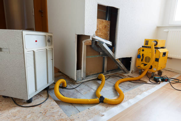 Best Attic Mold Removal  in West Siloam Springs, OK